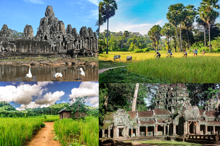 trail cambodge 2025 05