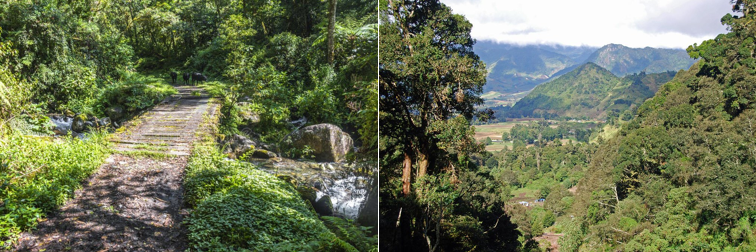 trail panama03